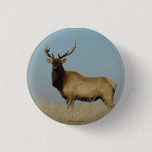 E43 Young Bull Elk 3 Cm Round Badge