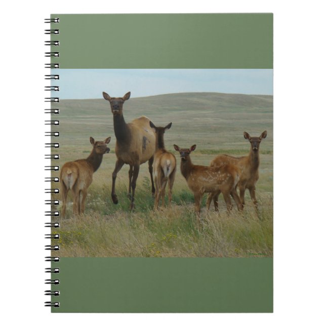 E44 Cow Elk and Calves Notebook (Front)