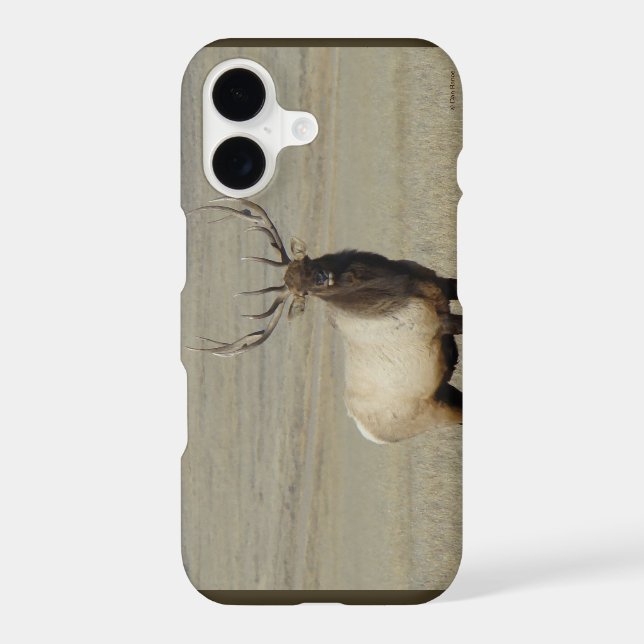 E46 Bull Elk (Back)