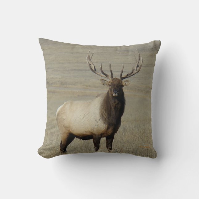 E46 Bull Elk Big Bull Cushion (Front)