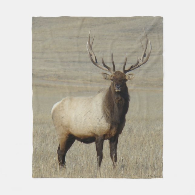 E46 Bull Elk Big Bull Fleece Blanket (Front)