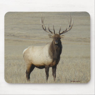 E46 Bull Elk Big Bull Mouse Mat