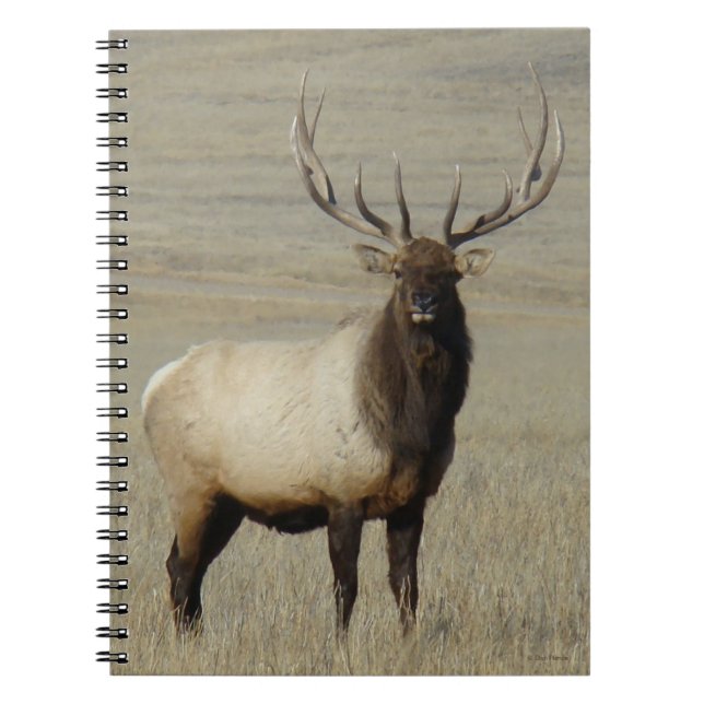 E46 Bull Elk Big Bull Notebook (Front)