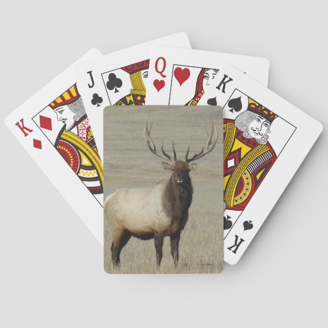 E46 Bull Elk Big Bull Playing Cards (Back)
