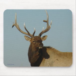 E49 Bull Elk Head and Shoulders Mouse Mat