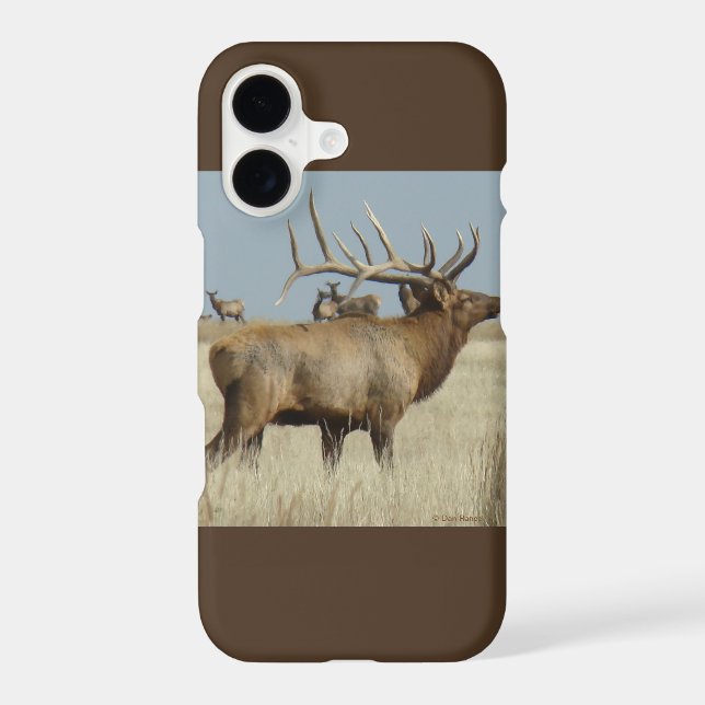 E4 Bull Elk (Back)