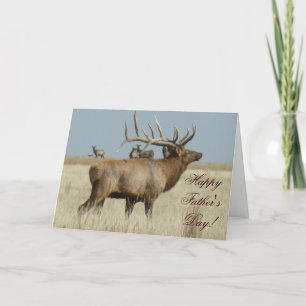 E4 Bull Elk Herd Boss Card