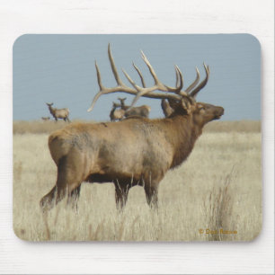 E4 Bull Elk Herd Master Mouse Mat