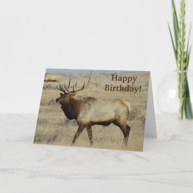 E55 Bull Elk Card (Front)