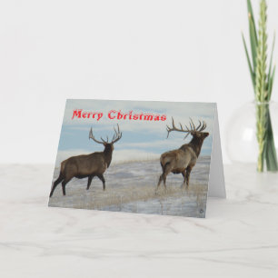 E57 Big Bulls on Snow Christmas Card