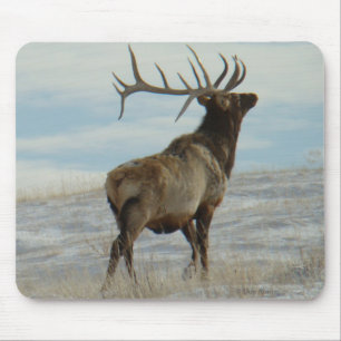 E58 Bull Elk Lucky 13 Bull Mouse Mat