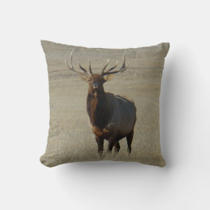 E59 Bull Elk Cushion