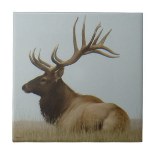 E5 Bull Elk Huge Bull Tile
