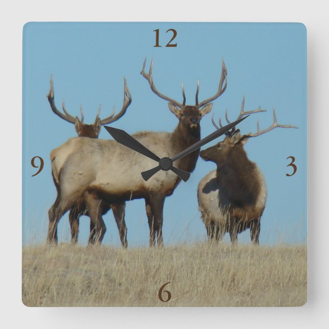 E60 Bull Elk Sky Lined Square Wall Clock (Front)