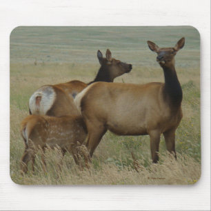 E61 Cow Elk and Calf Mouse Mat