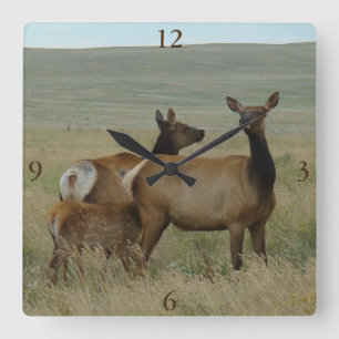 E61 Cow Elk and Calf Square Wall Clock