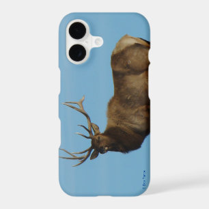 E62 Bull Elk Sky Lined