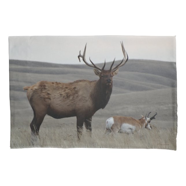 E63 Bull Elk and Antelope Buck Pillowcase (Front)
