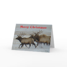 E64 Bull Elk Running Christmas Card