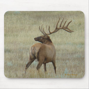 E6 Bull Elk in Velvet Mouse Mat