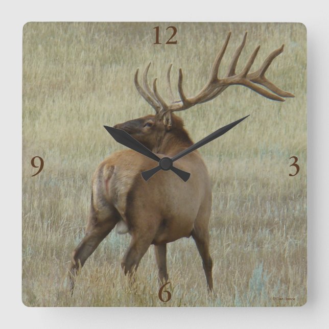E6 Bull Elk in Velvet Square Wall Clock (Front)
