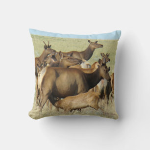 E7 Cow Elk Feeding Calf Cushion