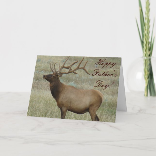 E8 Bull Elk in Velvet Card (Front)