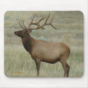 E8 Bull Elk in Velvet Mouse Mat