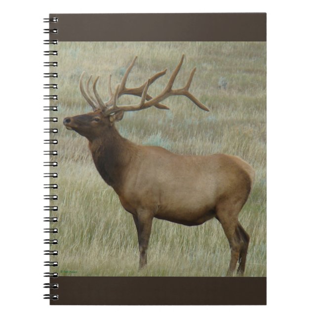 E8 Bull Elk in Velvet Notebook (Front)