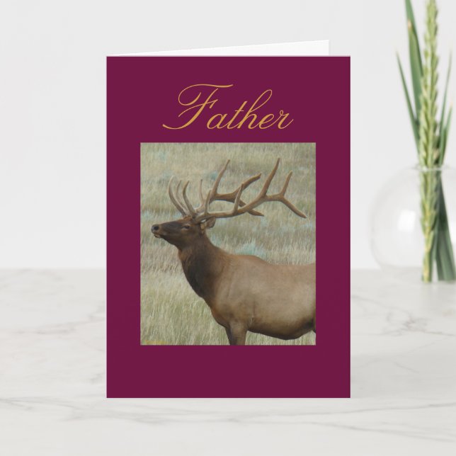 E9 Bull Elk in Velvet Head and Shoulders Card (Front)