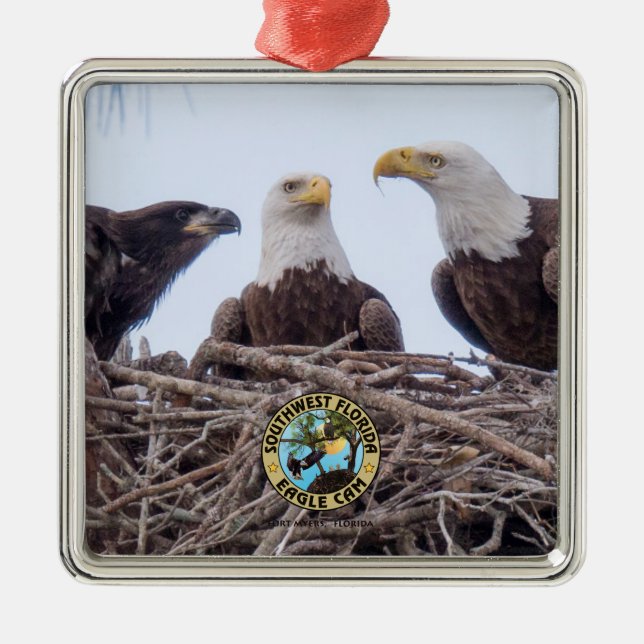 E9 & Family Holiday Ornament (Front)