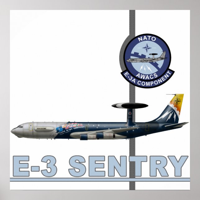 E-3 Sentry Print (Front)