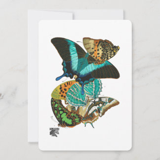 E.A. Séguy Vintage Butterflies Illustration Invitation