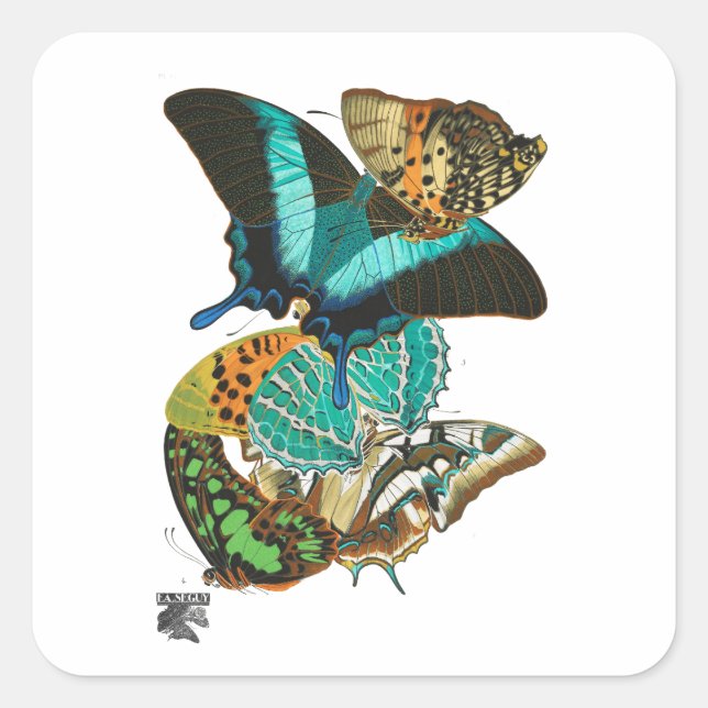E.A. Séguy Vintage Butterflies Illustration Square Sticker (Front)