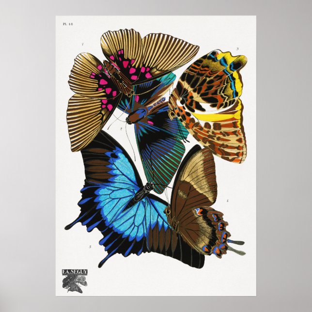 E.A. Séguy's vintage butterflies (1925)  Poster (Front)