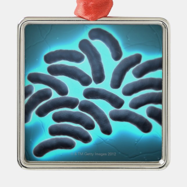 E-coli Cells 2 Metal Tree Decoration (Front)