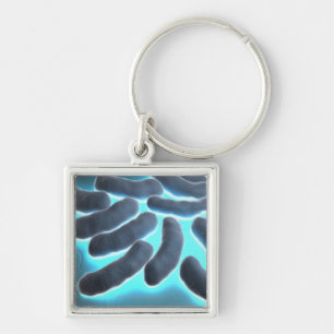 E-coli Cells Key Ring
