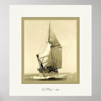 E.I. White ~ 1896 ~ Vintage Photograph Poster