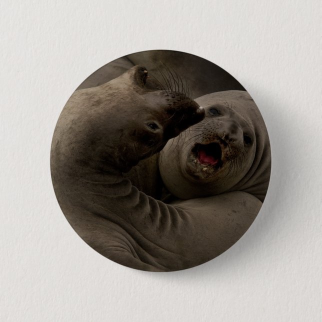 E-Seals Curve Button (Front)