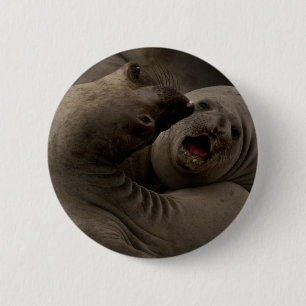 E-Seals Curve Button