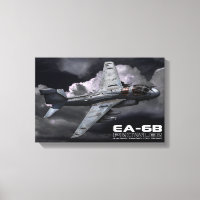 EA-6B Prowler