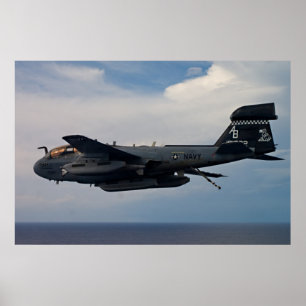 EA-6B Prowler Poster