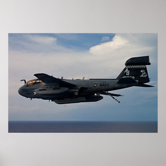 EA-6B Prowler Poster (Front)