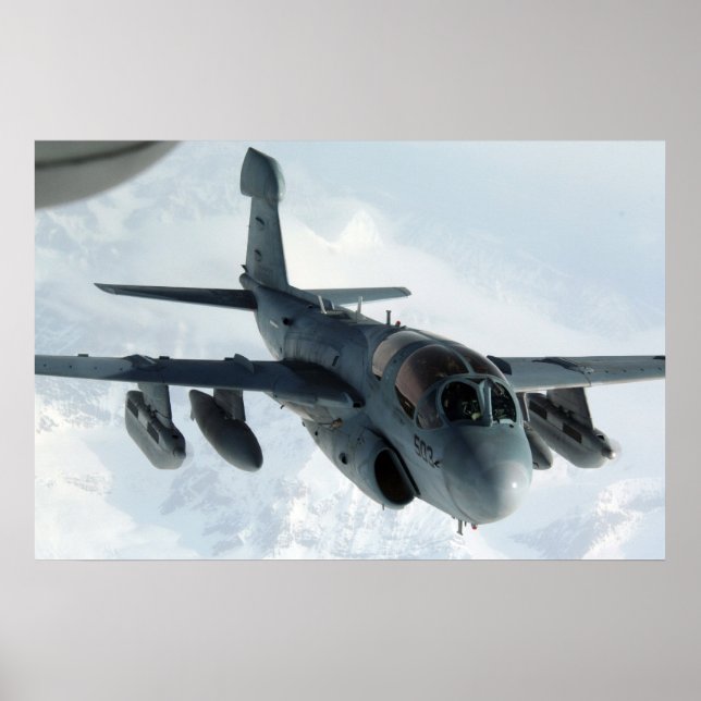 EA-6B Prowler Poster (Front)