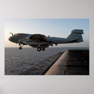 EA-6B Prowler Poster