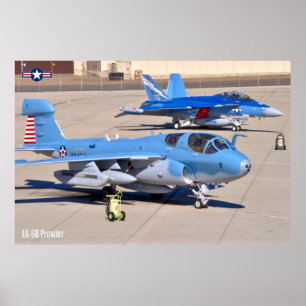 EA-6B PROWLER POSTER