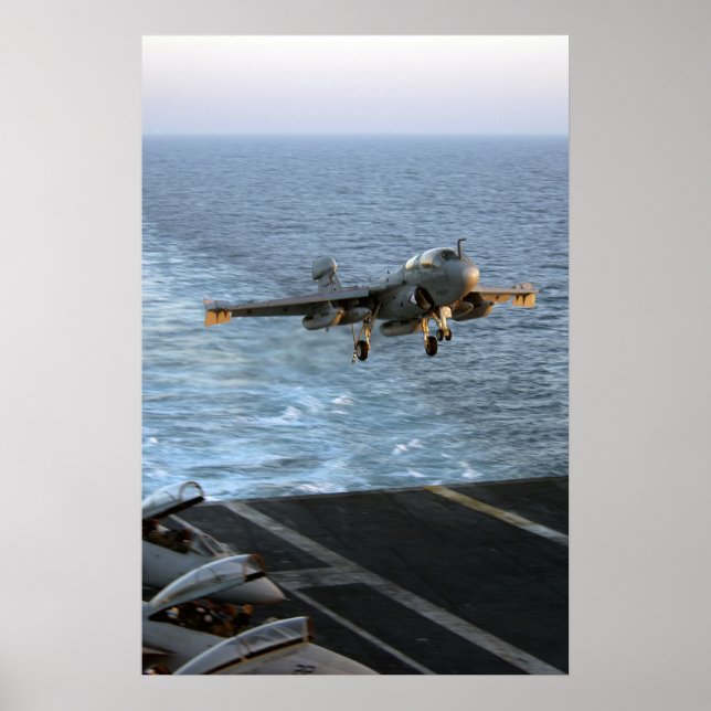 EA-6B Prowler Poster (Front)