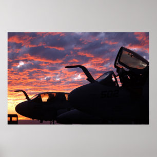 EA-6B Prowler Poster