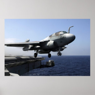 EA-6B Prowler Poster