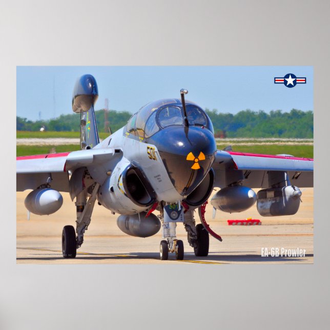 EA-6B PROWLER POSTER (Front)